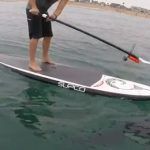 La planche de paddle intrigue les requins blanc